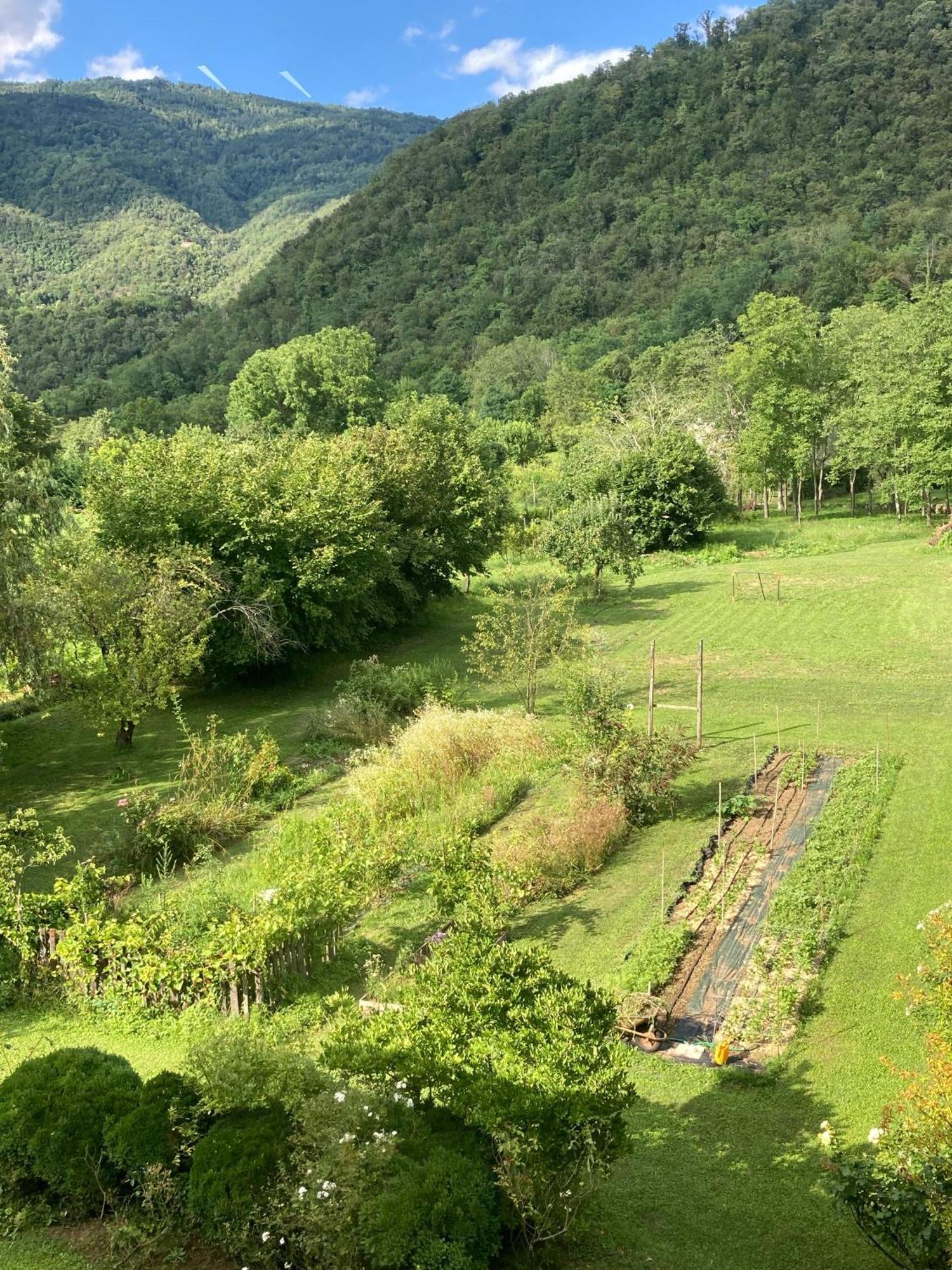 Casa Del Grivo - Alloggio Sole Faedis Exteriér fotografie