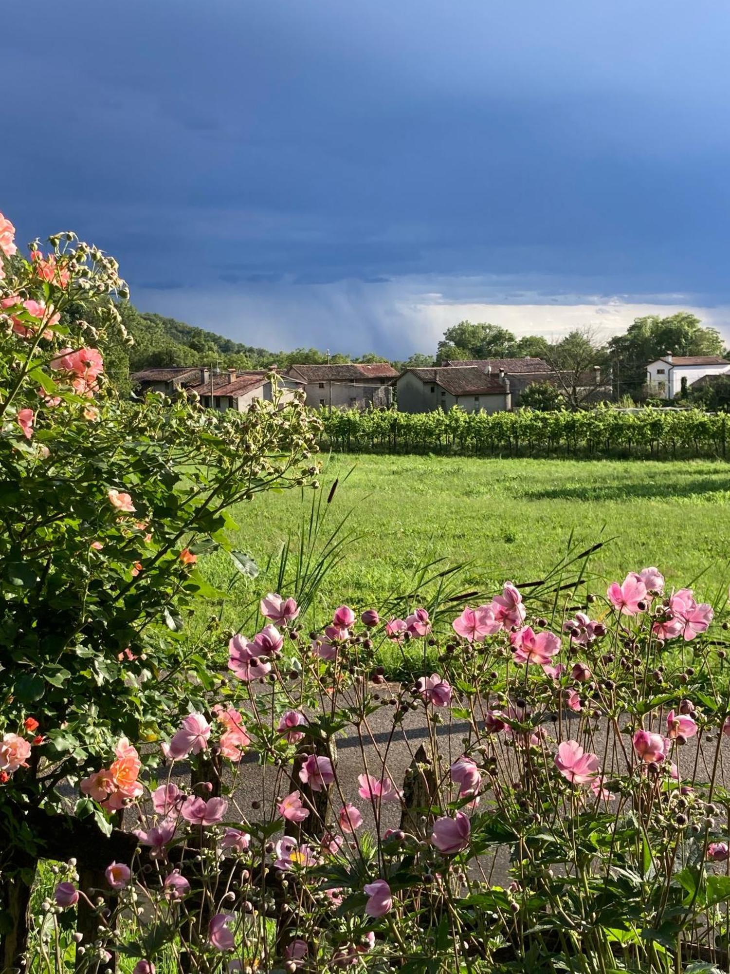 Casa Del Grivo - Alloggio Sole Faedis Exteriér fotografie